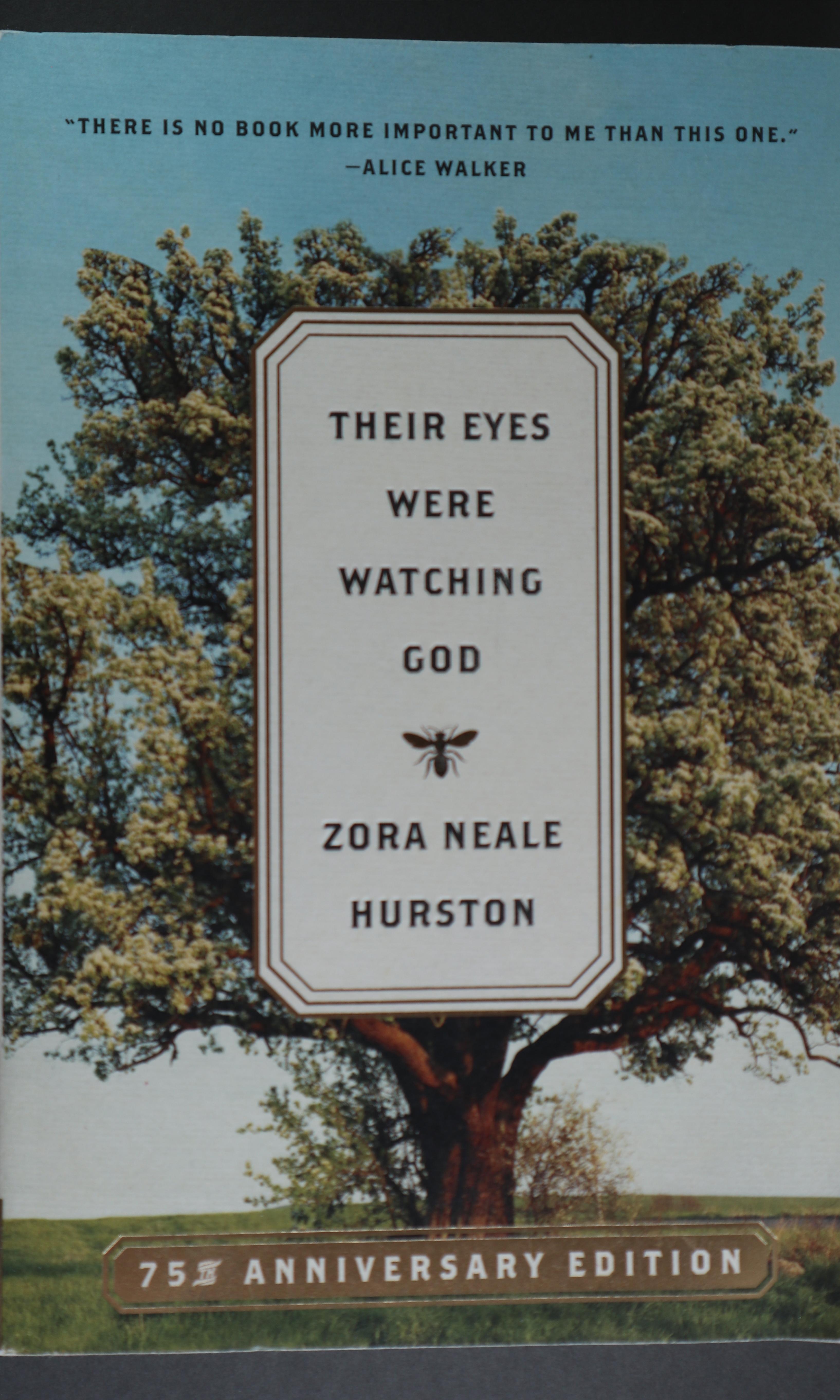 Their Eyes Were Watching God: A Novel BOOK