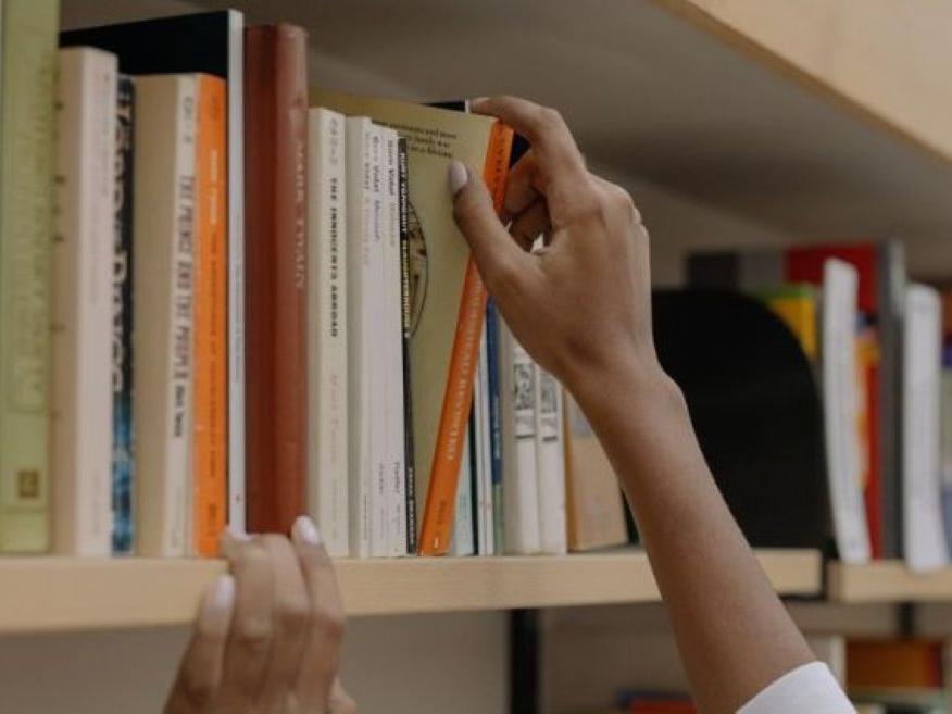 Library Shelf Photo